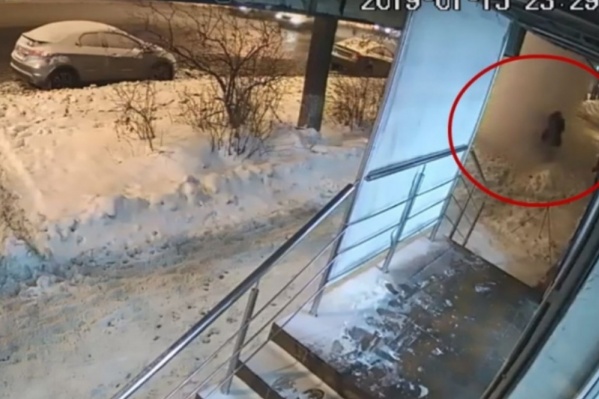 Двух женщин сбило с ног внезапно обрушившимся снегом Двух женщин сбило с ног внезапно обрушившимся снегом 