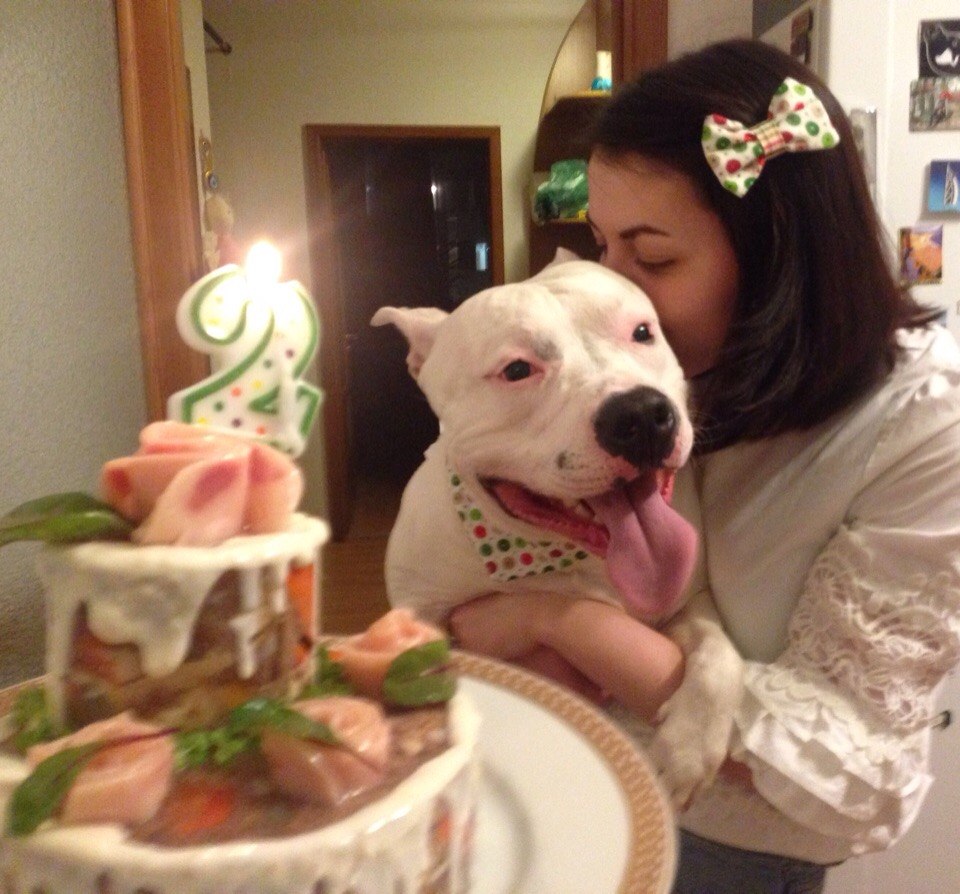 Это пёс Татьяны с тортом ко дню рождения. Даже свечка есть! С этого торта всё началось