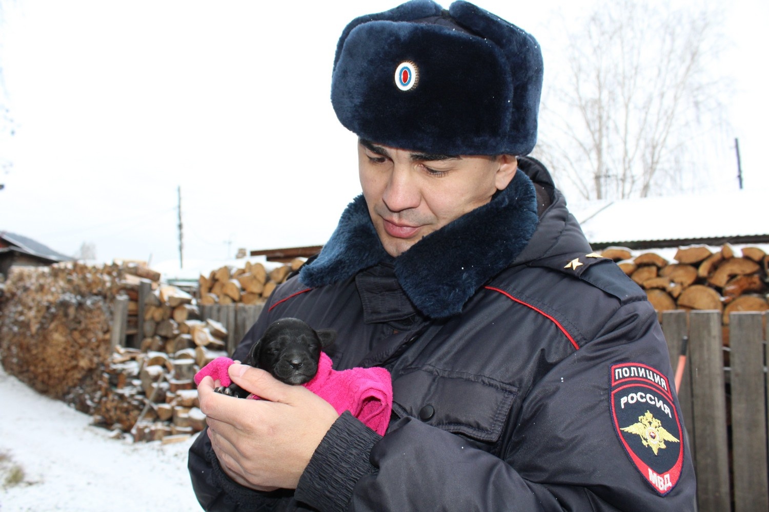 Полицейский спас из пожара собаку с новорожденным щенком
