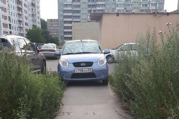 Многие автохамы считают, что такие баррикады на тротуарах никак не мешают пешеходам Многие автохамы считают, что такие баррикады на тротуарах никак не мешают пешеходам