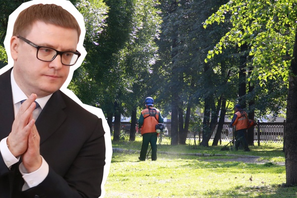 На садовую технику для управления делами главы региона Алексея Текслера потратят 163 тысячи рублей На садовую технику для управления делами главы региона Алексея Текслера потратят 163 тысячи рублей