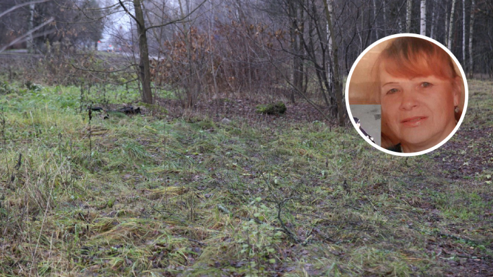 «Она лежала в придорожной канаве»: в Ярославской области нашли тело пропавшей без вести женщины