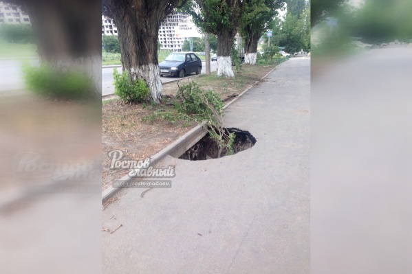 Горожане положили в дыру большую ветку, чтобы никто не провалился Горожане положили в дыру большую ветку, чтобы никто не провалился