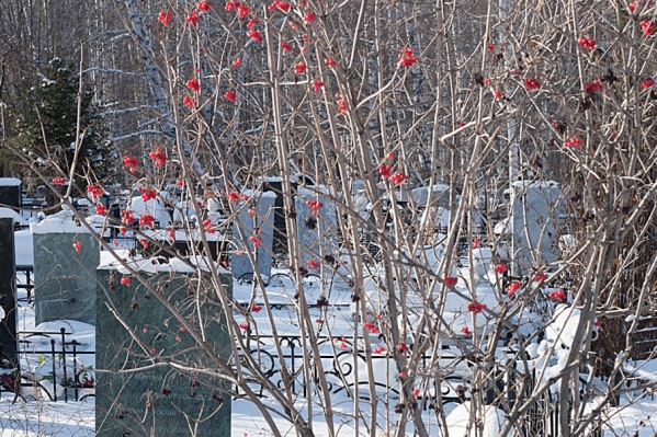 Из 12 городских кладбищ власти планировали закрыть четыре Из 12 городских кладбищ власти планировали закрыть четыре