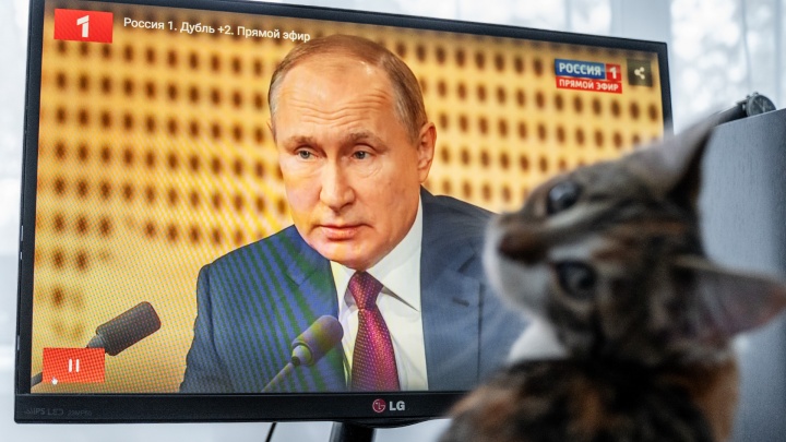 Это наш президент: как страна и котики смотрели выступление Путина