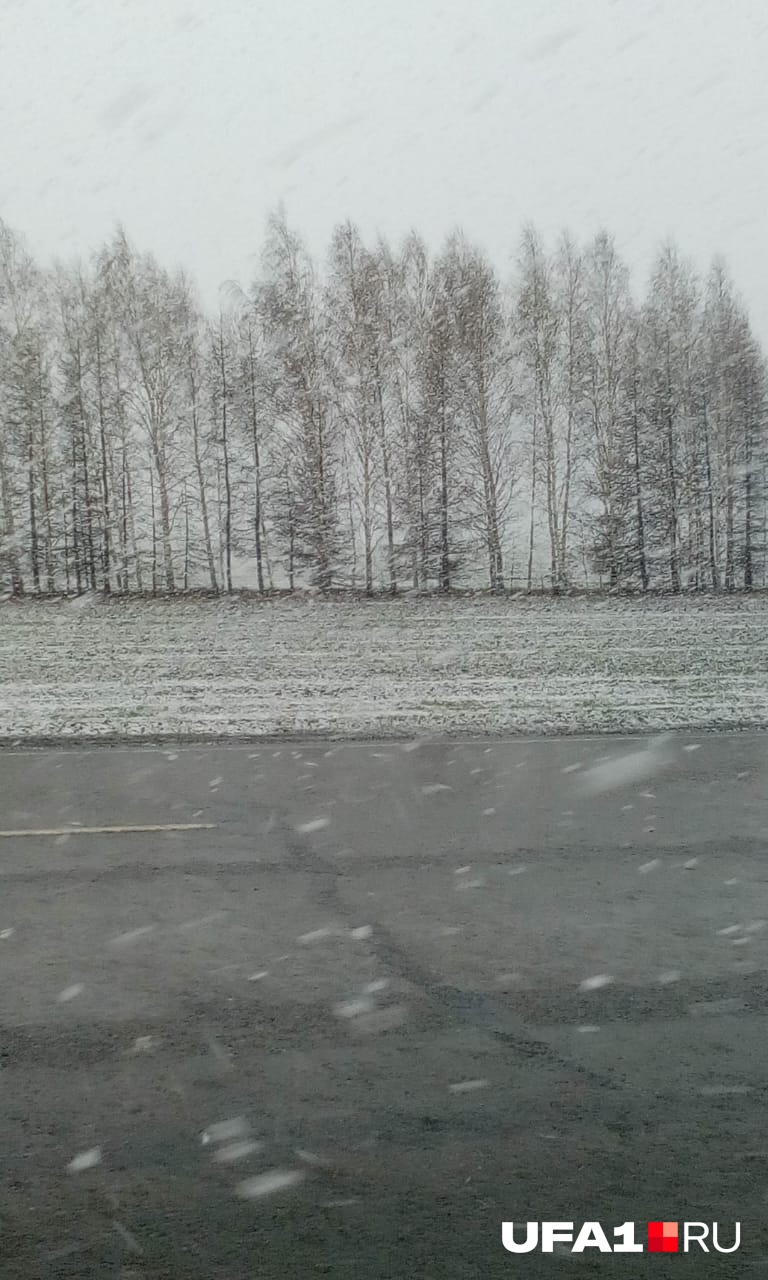 Снег уже летает на просторах трассы М-7
