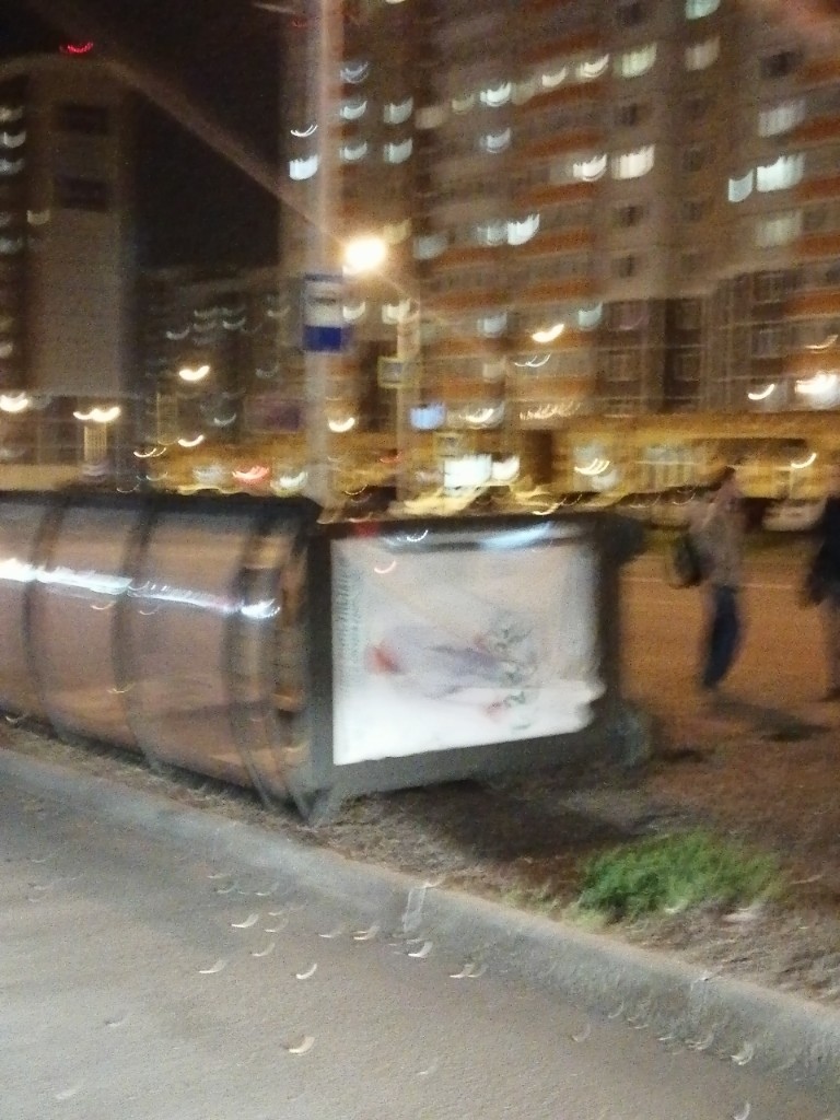 Новая остановка повалилась от ветра Новая остановка повалилась от ветра