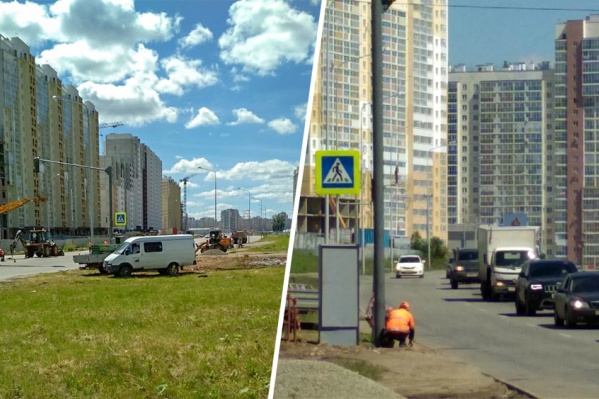 Жители микрорайона «Академ Riverside» до появления светофора привыкли перебегать шестиполосную дорогу на свой страх и риск Жители микрорайона «Академ Riverside» до появления светофора привыкли перебегать шестиполосную дорогу на свой страх и риск