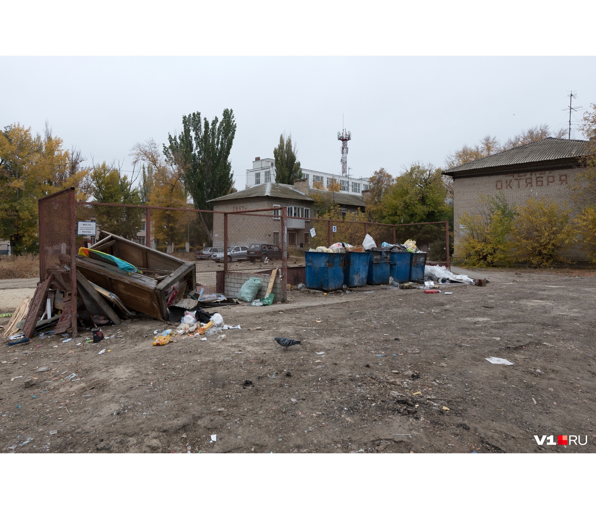 «Здесь свалкой пахнет»: волгоградцы жалуются на смрад из-за гниющих мусорок