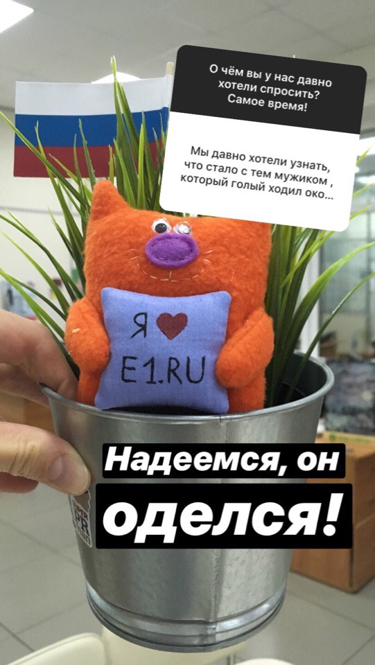 Откуда у вас кошка и когда будет лето? О чём читатели E1.RU спрашивали нас в новом сервисе Instagram