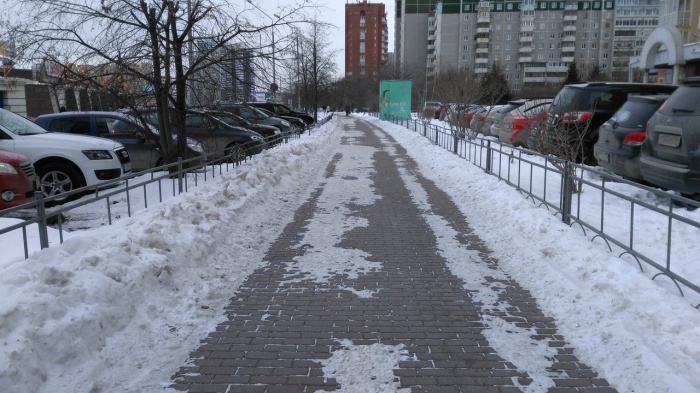 Заборы на Ботанике Заборы на Ботанике