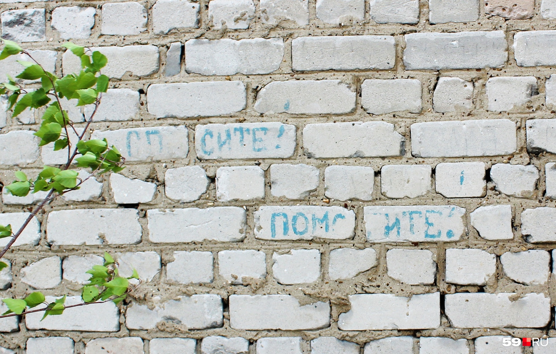 Похоже на записку самоубийцы. Что ж, место подходящее Похоже на записку самоубийцы. Что ж, место подходящее