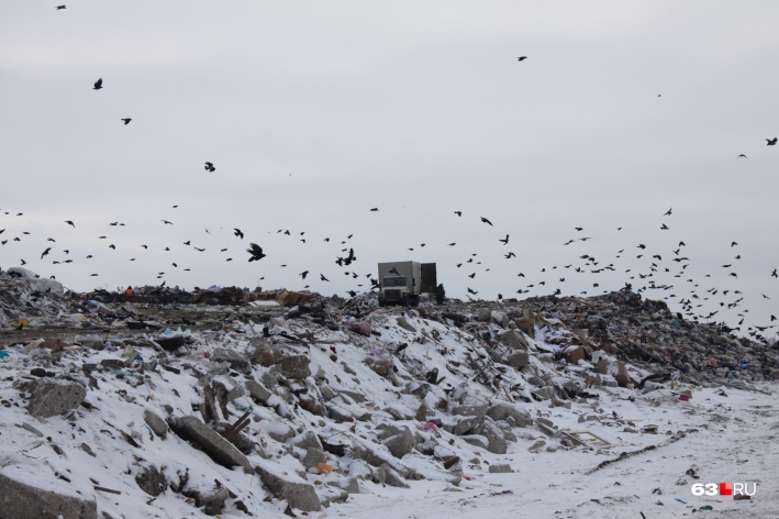 «Подушевого сбора не будет»: для городов Самарской области пересчитают тариф на вывоз мусора