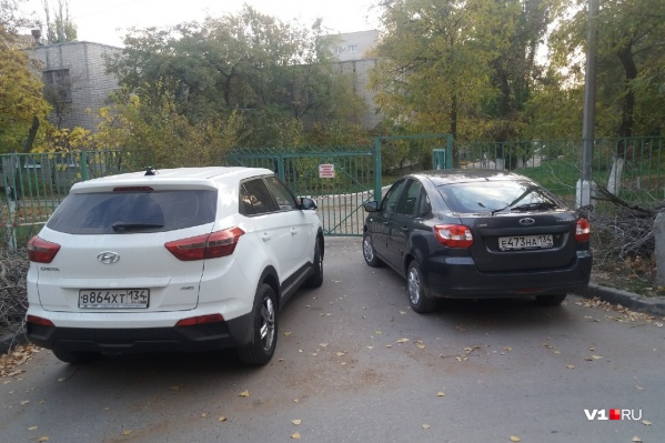 Такую картину волгоградцы наблюдают ежедневно Такую картину волгоградцы наблюдают ежедневно