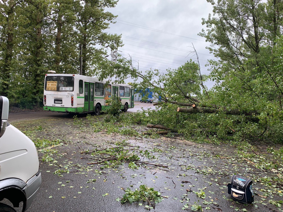 ДТП, поваленные деревья и затопленные подъезды: какие последствия принесла непогода в Ярославле