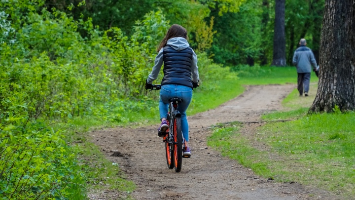 Вокруг Черняевского леса появится кольцевой маршрут для велосипедистов