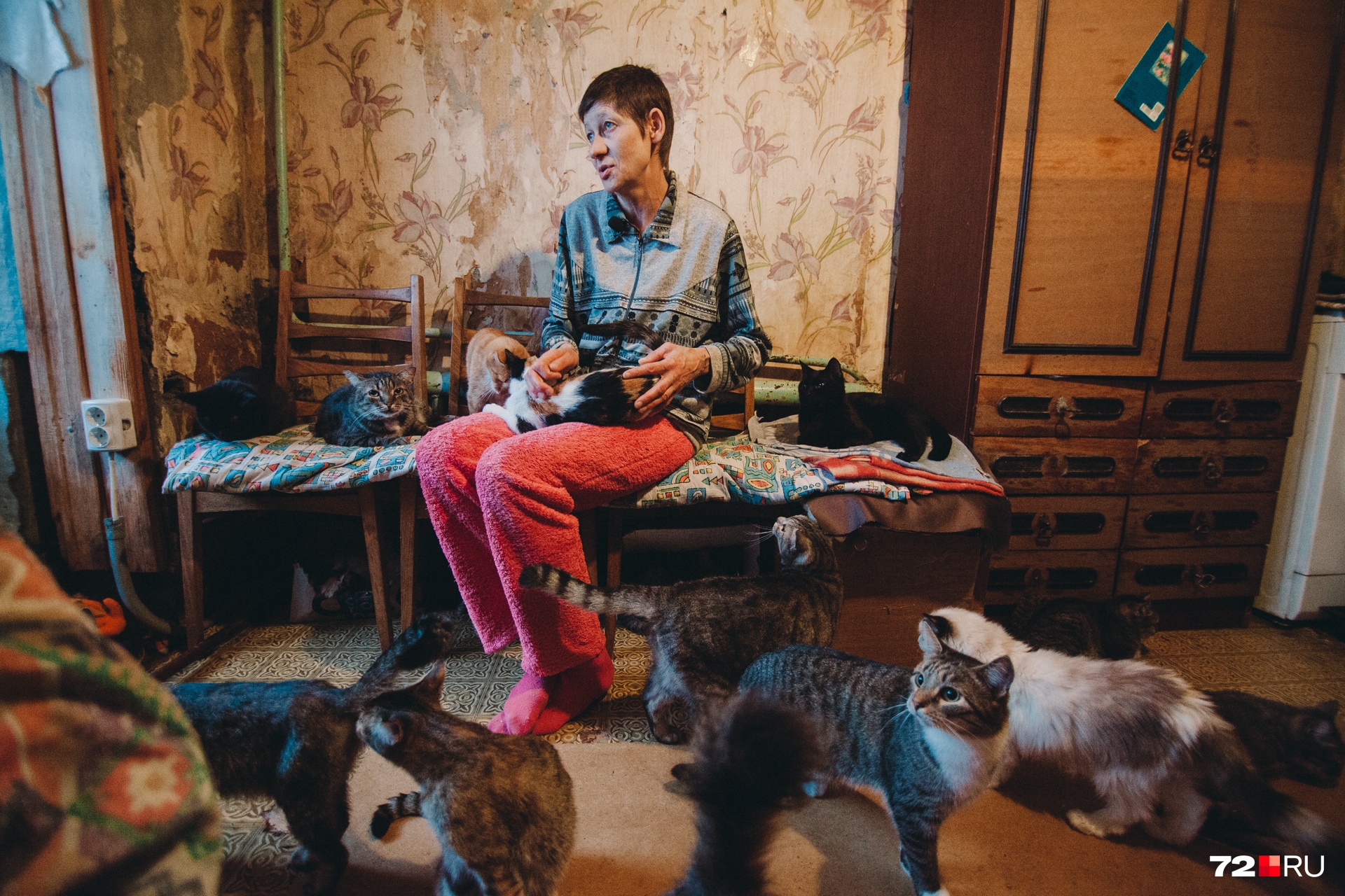 Марина Рейдаленко живет в небольшой комнате в пансионате, а вторую комнату снимает специально для кошек