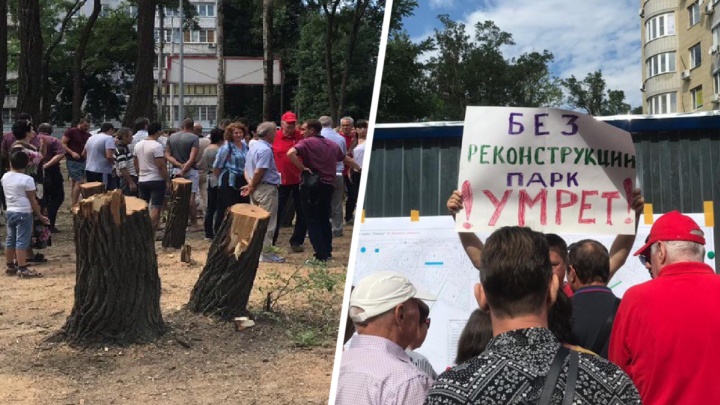 Ростовские активисты добились приостановки вырубки деревьев в парке «Осенний»
