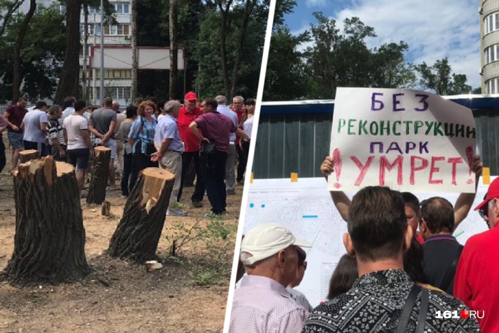 Активисты пытаются бороться с вырубкой деревьев на встречах с чиновниками