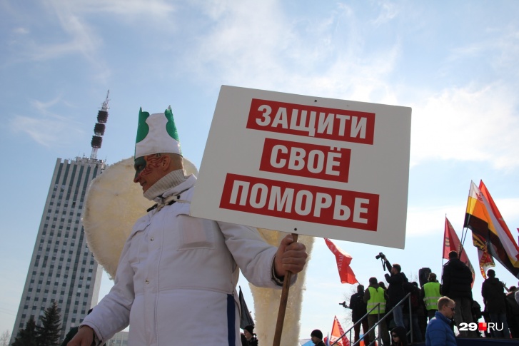 Древарх участвует практически в каждой антимусорной акции в Архангельске