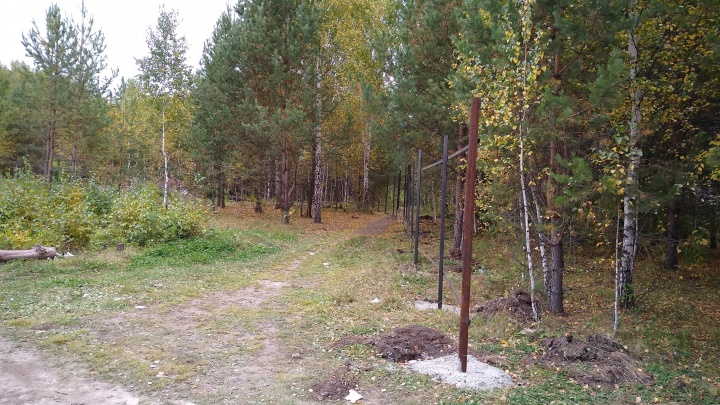 «Райского места больше нет»: в челябинском микрорайоне спилили 300 деревьев и начали стройку