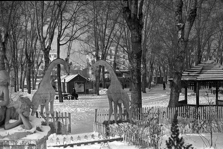 Парк имени Якутова. 12 февраля 1961 года Парк имени Якутова. 12 февраля 1961 года