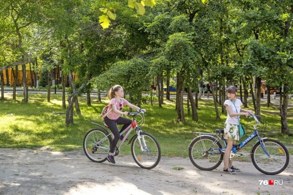 Велодорожки обещают сделать в парке 30-летия Победы Велодорожки обещают сделать в парке 30-летия Победы
