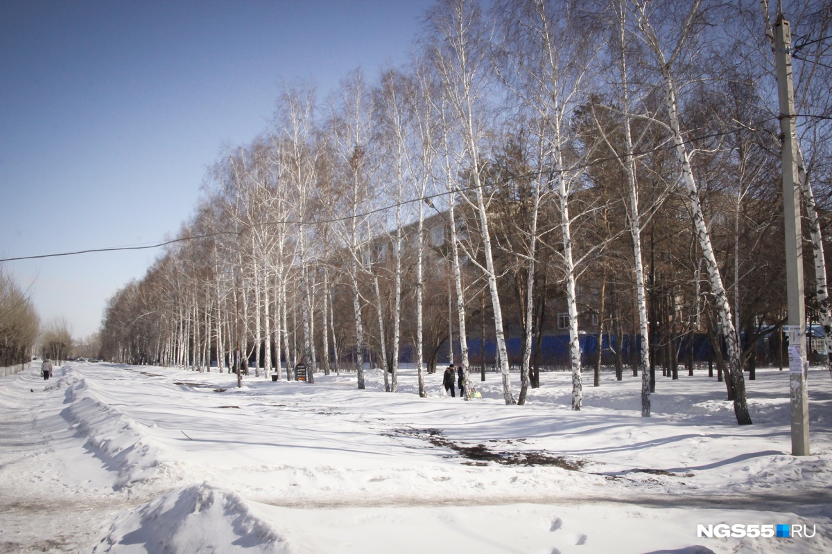 Мусульманское кладбище Омск Чкаловск