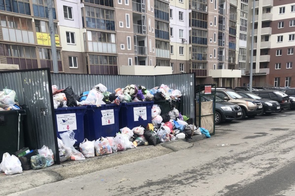 Регоператор, видимо, должен будет доплачивать горожанам за такую помощь Регоператор, видимо, должен будет доплачивать горожанам за такую помощь
