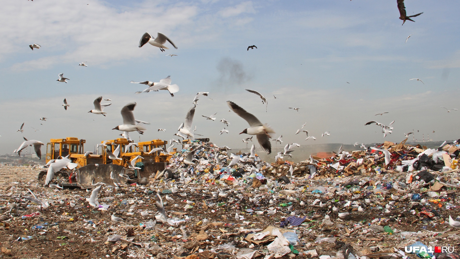 Куда уходят деньги: эксперты — о том, чего не хватает мусорной реформе в Уфе