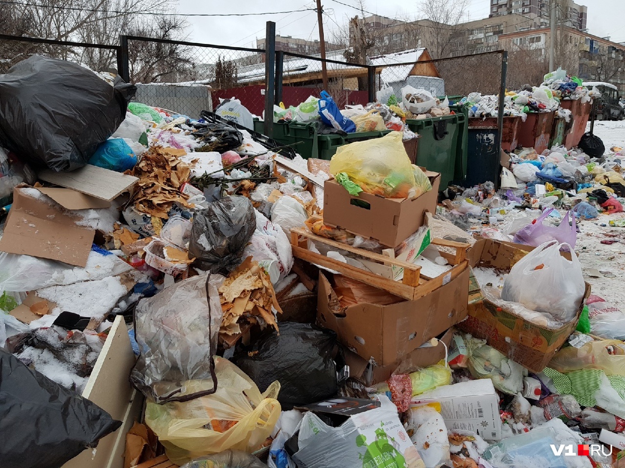 «Это не наше»: мусорный концессионер объяснил, почему Волгоград утонул в мусоре