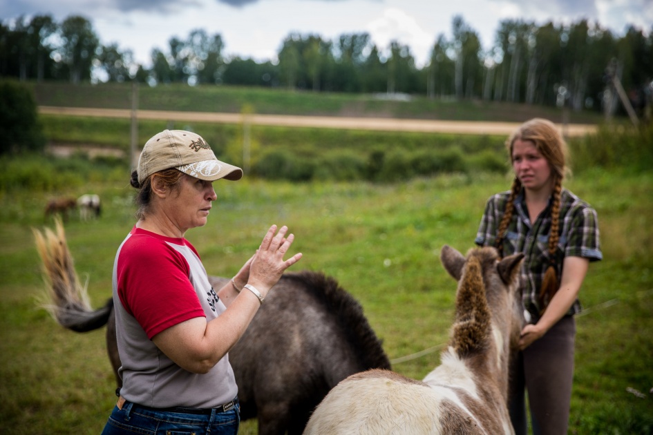 Разведением шетлендских пони Татьяна занимается уже около 30 лет