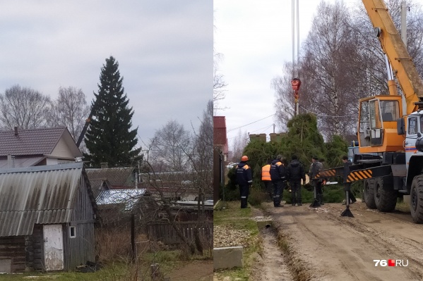 Ёлочку было видно из любого края посёлка. А теперь нет Ёлочку было видно из любого края посёлка. А теперь нет