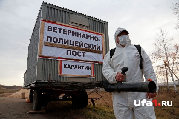 Между фермерами распределят 30 миллионов рублей Между фермерами распределят 30 миллионов рублей