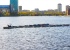 На Городском пруду перевернулся прогулочный катер с людьми