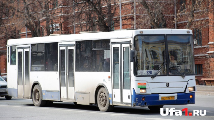 Бесплатный проезд: в день выборов в Уфе пустят дополнительные автобусы