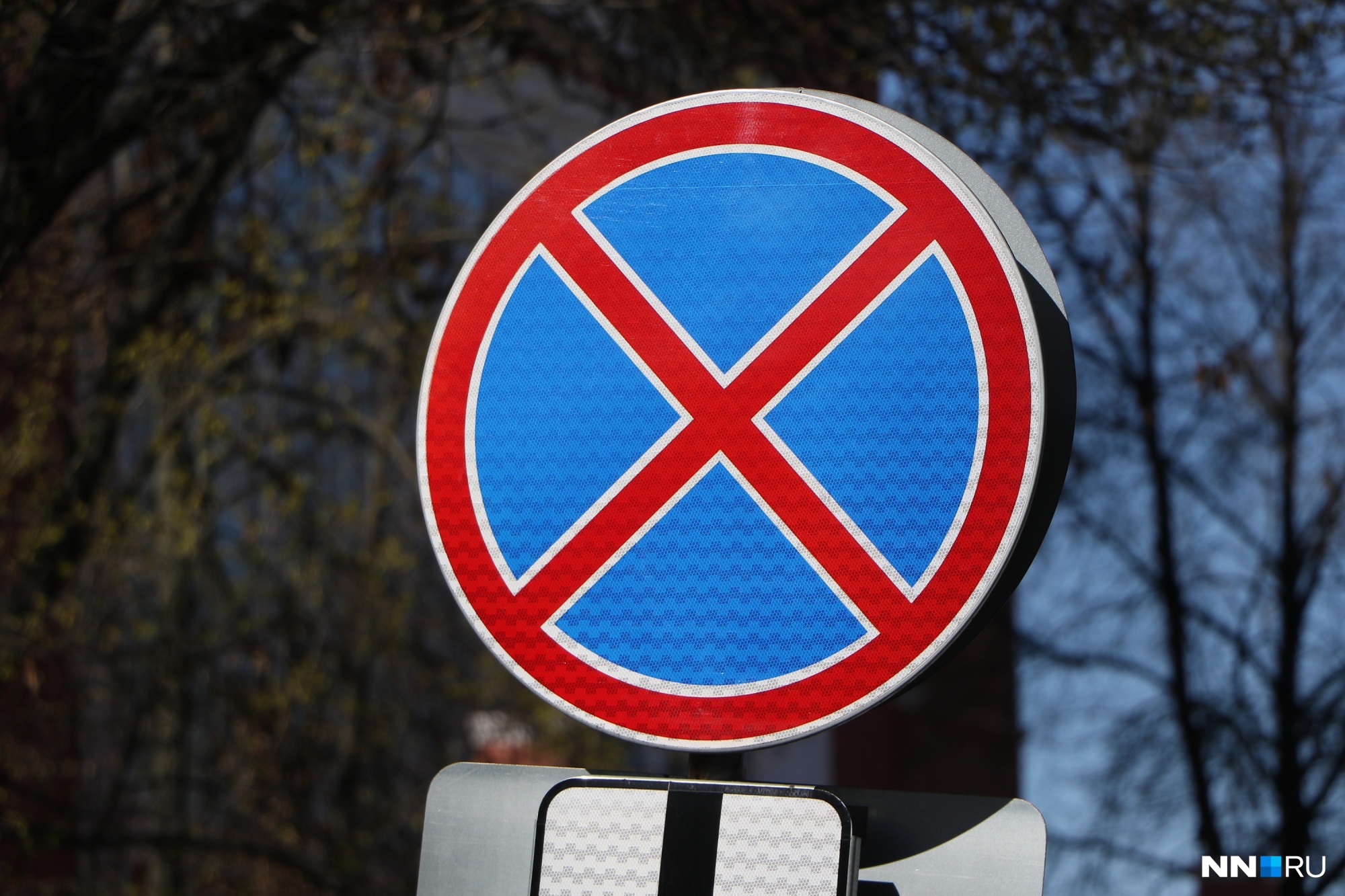 Новые знаки «Остановка запрещена» появятся на улицах Родионова, Белинского и Невзоровых