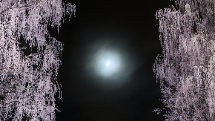 Фото дня. Лунная тропа в Нижнем Новгороде