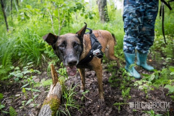 Детей нашли за несколько часов Детей нашли за несколько часов