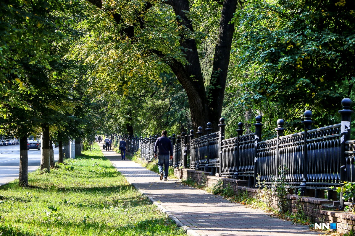 Парк кулибина нижний новгород