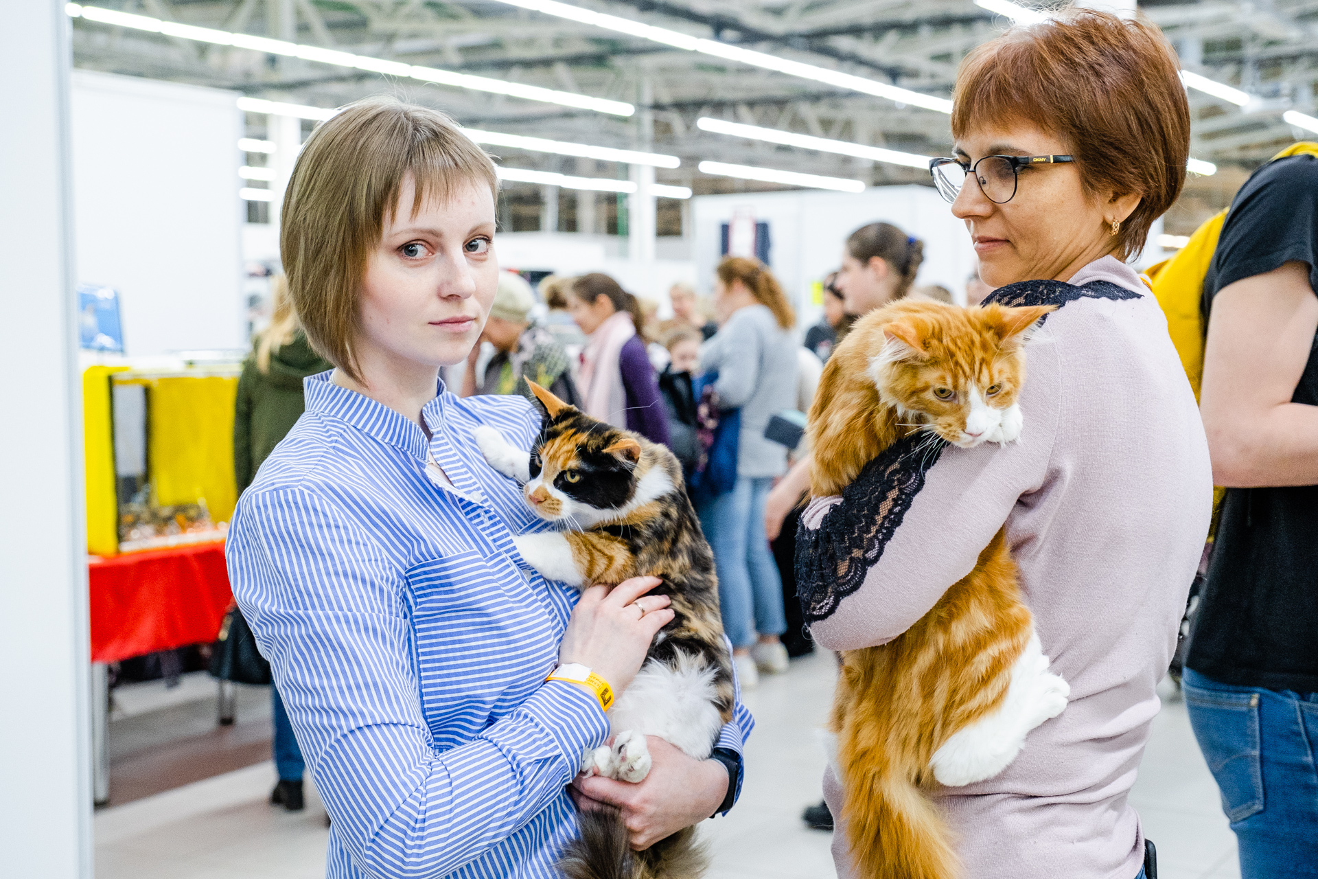 Сидя у хозяев на руках, животные меньше волнуются Сидя у хозяев на руках, животные меньше волнуются