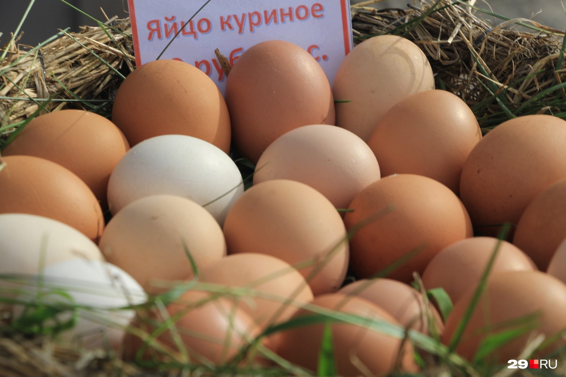 Нет бесполезных яиц — есть странные мифы Нет бесполезных яиц — есть странные мифы