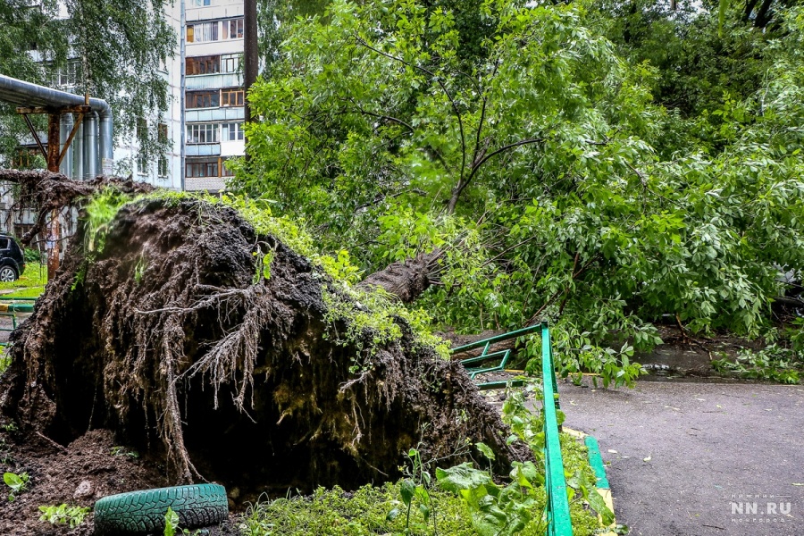 МЧС распространило экстренное предупреждение в Нижегородской области в связи с грозами