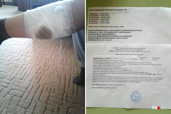 Мальчик направлялся на тренировку, когда за ним увязались бездомные собаки Мальчик направлялся на тренировку, когда за ним увязались бездомные собаки