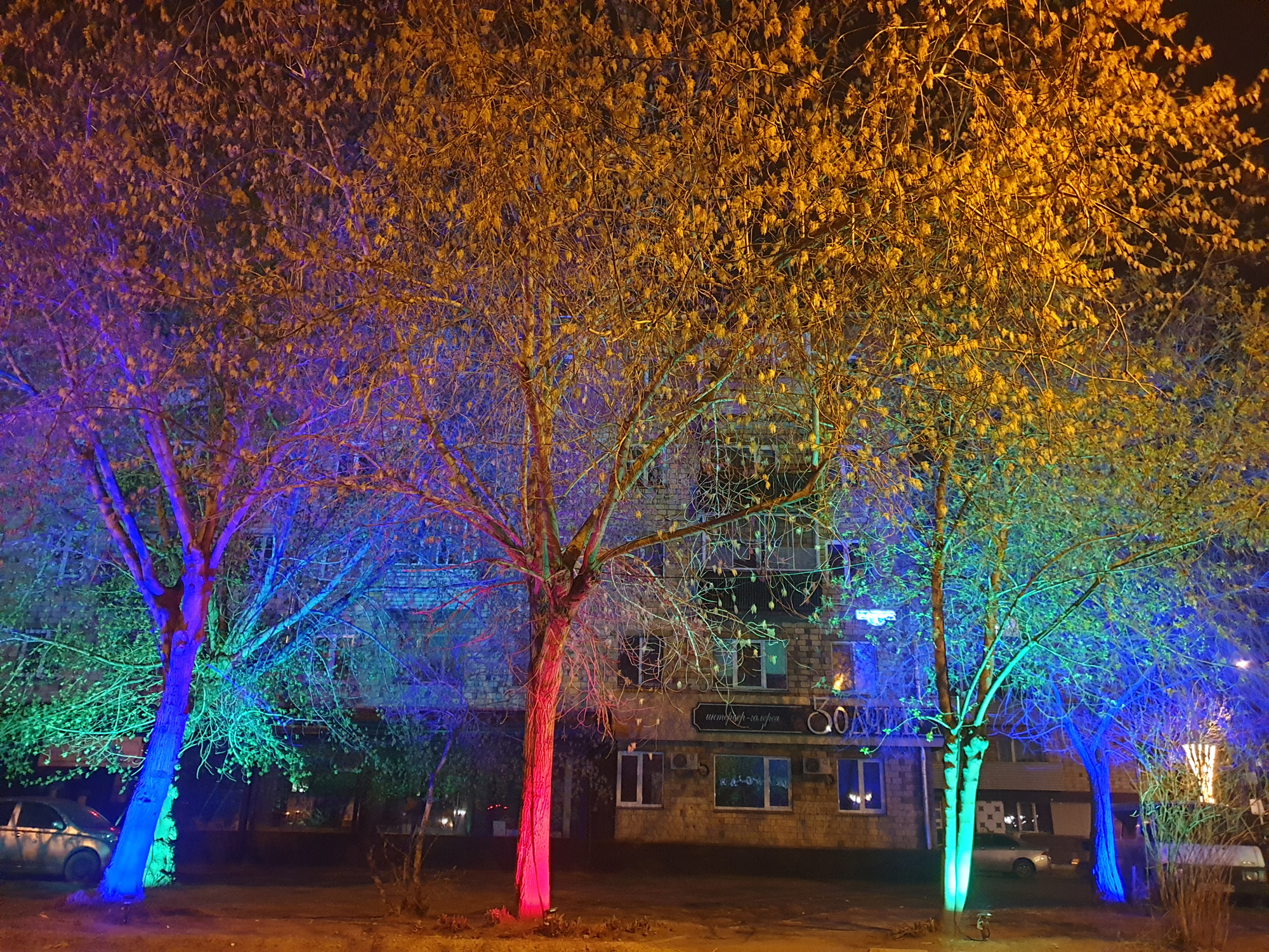 Подсветка деревьев прожекторами