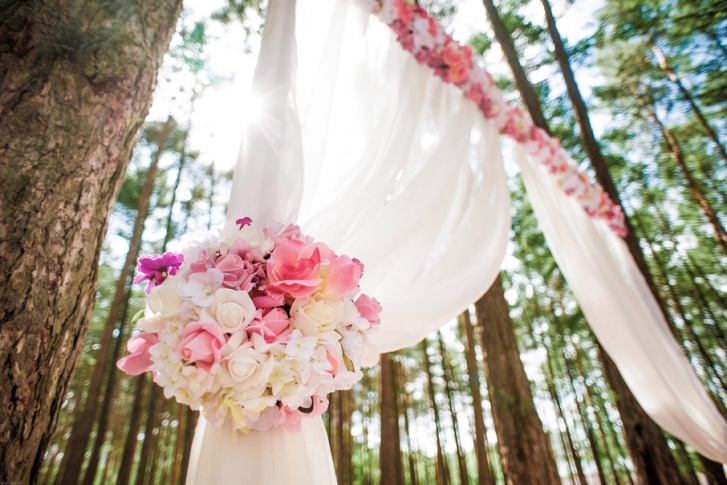 Всё больше пар устраивают свадьбы в лесах и садах