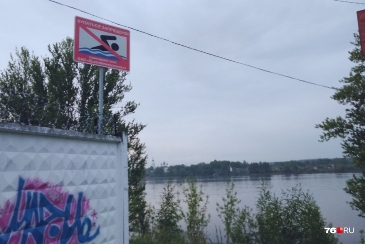 На берегу Волги в Ярославле в земле хранятся токсичные отходы На берегу Волги в Ярославле в земле хранятся токсичные отходы