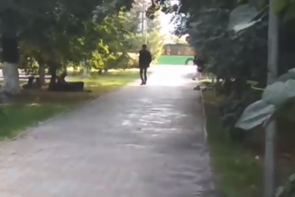Нападение произошло на лужайке в сквере Немцова. В это время вокруг ходили люди Нападение произошло на лужайке в сквере Немцова. В это время вокруг ходили люди