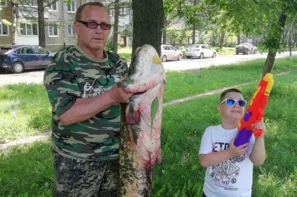 Сергей собирается закоптить сома Сергей собирается закоптить сома