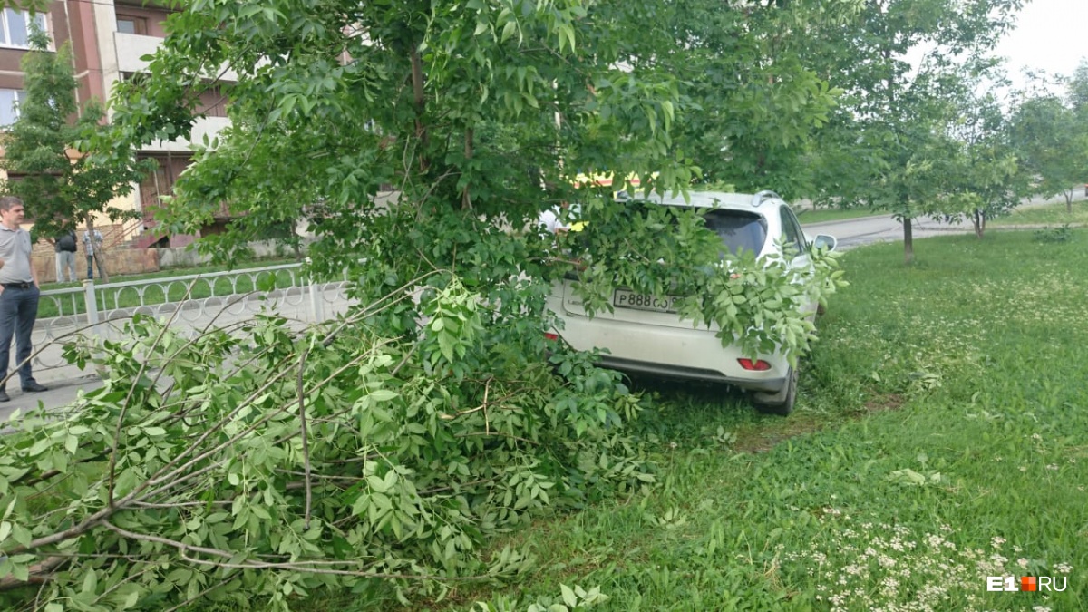 На ВИЗе пьяная девушка за рулём Lexus c красивым номером снесла три дерева  и дорожное ограждение | 05.07.2018 | Екатеринбург - БезФормата